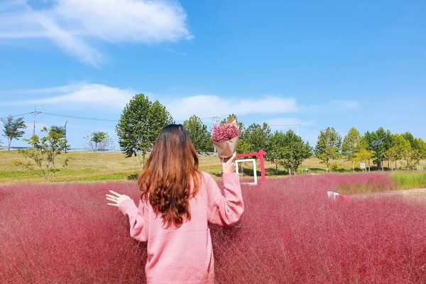 Đi du học Hàn Quốc là quyết tâm phải thật thành công dù có khó khăn