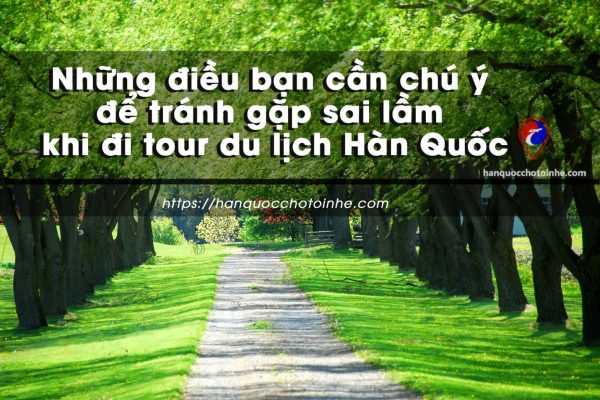 Tour du lịch Hàn Quốc: Chi phí, lịch trình và những điều cần phải nắm rõ