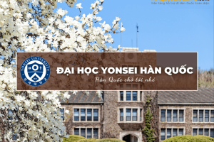 Trường đại học Yonsei Hàn Quốc : Yonsei University – 연세대학교