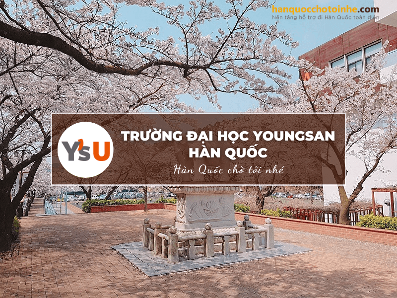 Đại học Youngsan - Ngôi trường Đại học tư thục hàng đầu tại Busan