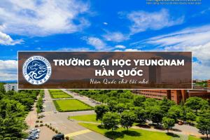 Trường Đại học Yeungnam Hàn Quốc: Yeungnam University – 영남대학교