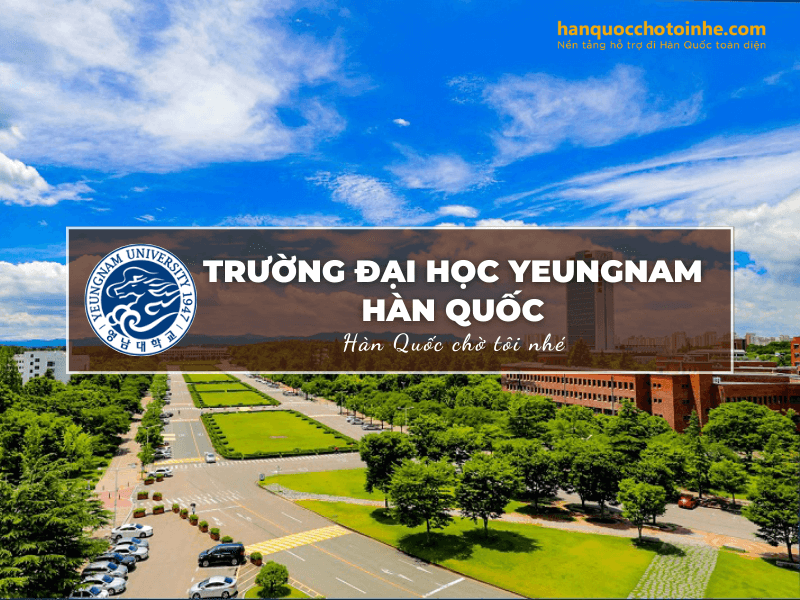 Đại học Yeungnam - Thế mạnh đào tạo ngành Kỹ thuật, Kinh doanh và chương trình ngôn ngữ Hàn