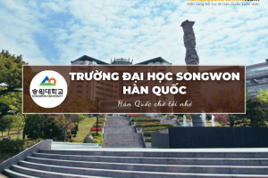 Trường Đại học Songwon Hàn Quốc: Songwon University – 송원대학교