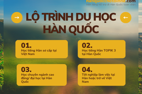 Quy trình du học Hàn Quốc chi tiết từng bước từ A đế Z