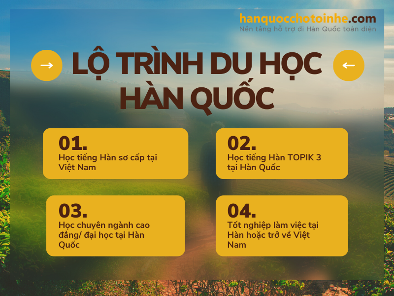 Quy trình du học Hàn Quốc chi tiết từng bước từ A đế Z