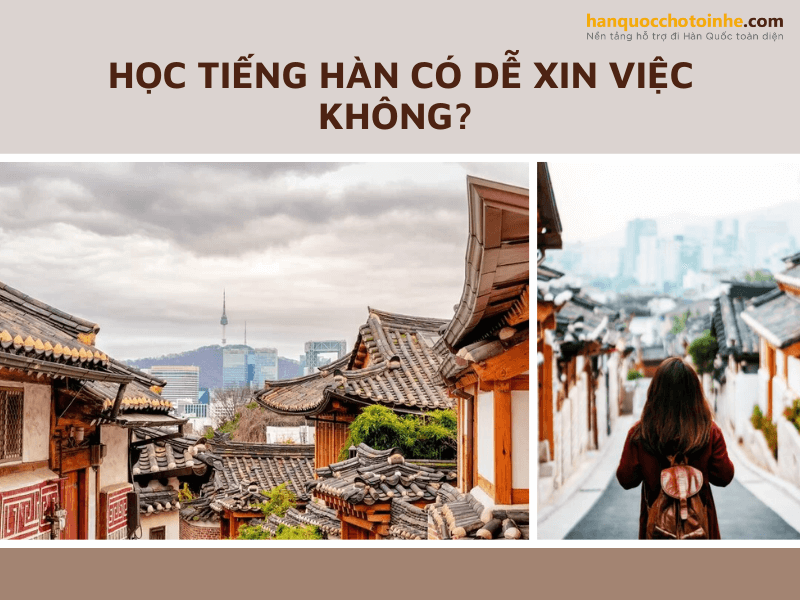 Học tiếng Hàn có dễ xin việc không? Cơ hội và thách thức